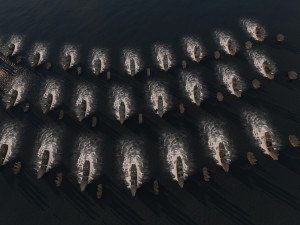 fleet 3D-Modell