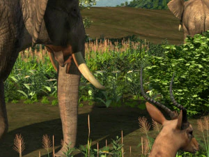 животное 3D Модель