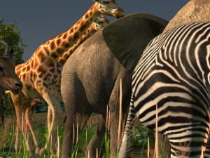 animal Model 3D