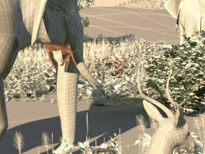 animal Model 3D
