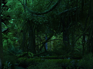 rainforest Modèle 3D