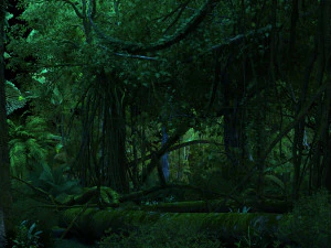 for&ecirc;t tropicale Modèle 3D