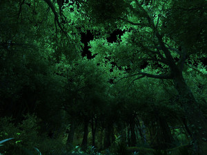 rainforest 3D मॉडल