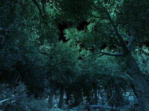rainforest 3D मॉडल