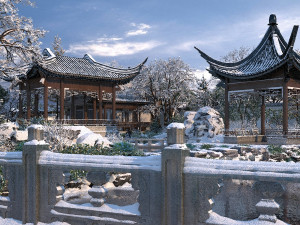 garden snow Modèle 3D