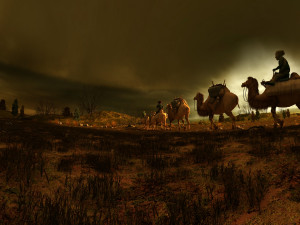 desert camel team 3D Model