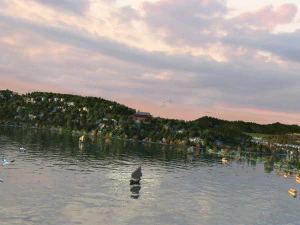 ancient architecture 3D Model