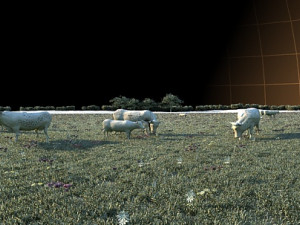 dairy farm 3D Model