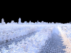 field 3D Model