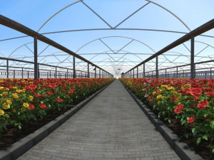 flower garden 3D Model