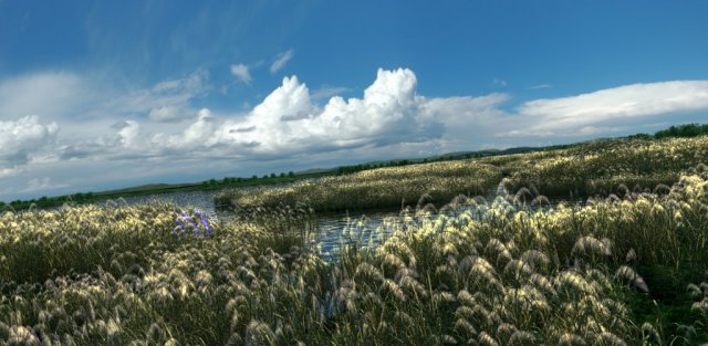 wetlands 3D 模型 .c4d .max .obj .3ds .fbx .stl .blend 