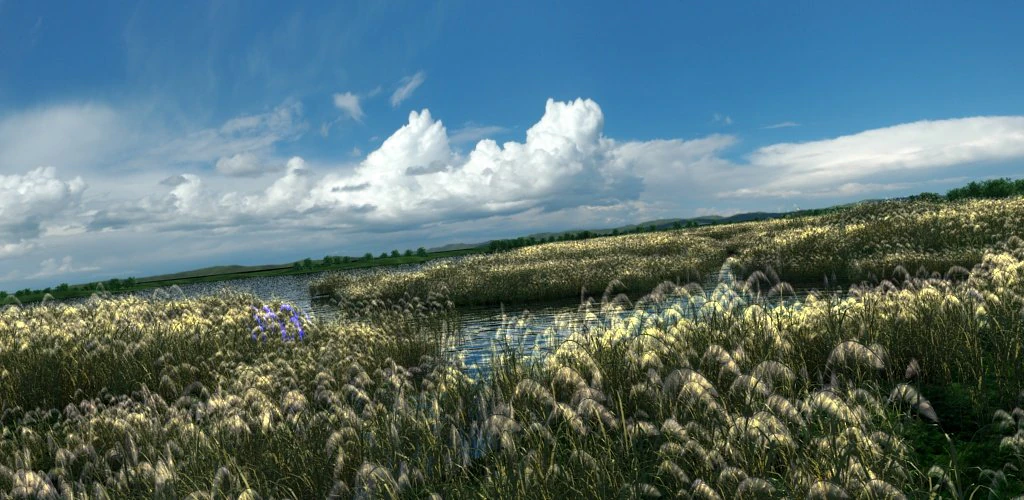 wetlands 3D Model .c4d .max .obj .3ds .fbx .stl .blend 