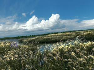 wetlands 3Dモデル