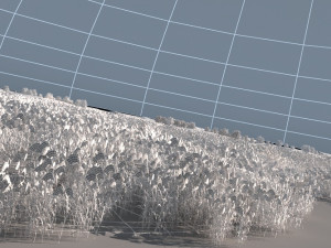 wetlands 3D 模型