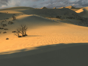 desert 3Dモデル