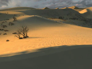 desert 3D Model