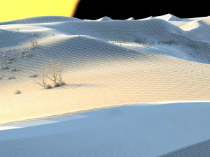 desert 3D Model