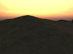 desert camel team 3D Model