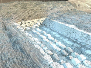 drains 3D Model