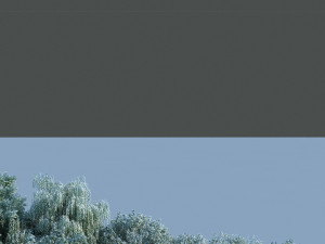 lake view 3D 模型