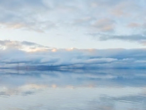 lake view 3D Model