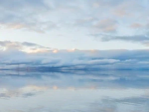 lake view 3D Model