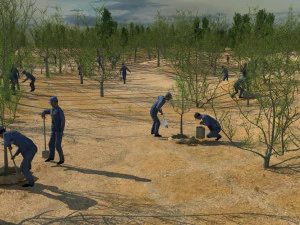 menanam pohon Model 3D