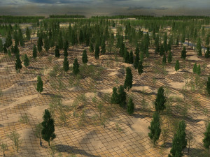 planting trees 3D 模型