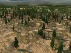 木を植える 3Dモデル