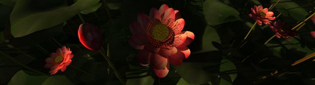 lotus pond Modello 3D .c4d .max .obj .3ds .fbx .stl .blend 