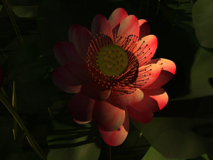 lotus pond Modelo 3D