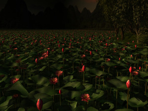 lotus pond Modello 3D