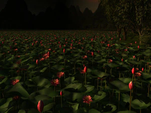 lotus pond 3D Model