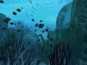 fondo del mar Modelo 3D