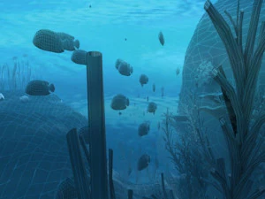 seabed 3D Model
