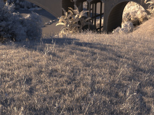 river Model 3D