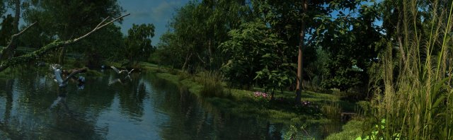 mangrove forest 3D Model .c4d .max .obj .3ds .fbx .stl .blend 