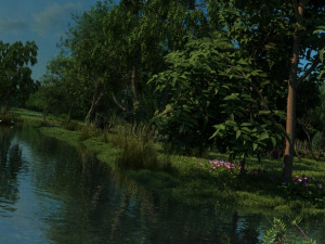 mangrove forest 3D Model