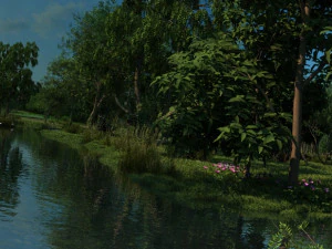 foresta di mangrovie Modello 3D