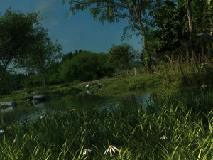 mangrove forest 3D Model
