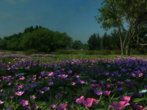 mangrove forest 3D Model