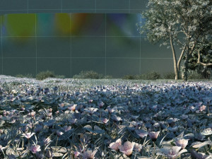 mangrove forest 3D Model