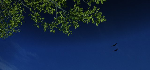 outskirts 3D Модель .c4d .max .obj .3ds .fbx .stl .blend 