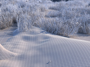 outskirts 3D Модель