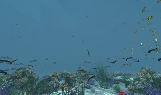 seabed Model 3D .c4d .max .obj .3ds .fbx .stl .blend 
