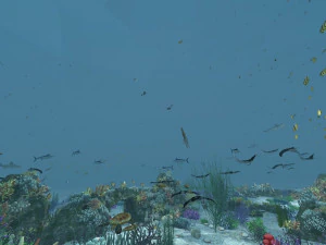 deniz yatağı 3D Model