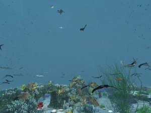 seabed 3D Model