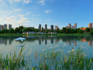 Wetlands 3D Model