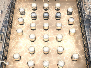 Build the bridge 3D Model