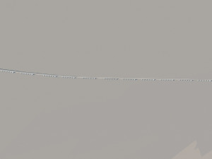 Build the bridge Model 3D